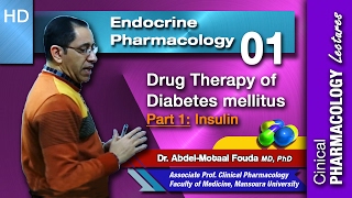 Endocrine Pharmacology Ar  01  Diabetes mellitus  Part 1 Insulin [upl. by Iruam886]