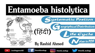 Entamoeba histolytica  Classification Morphology Life Cycle HINDI [upl. by Eresed]