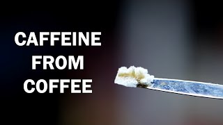 Extracting caffeine from coffee [upl. by Moreen384]