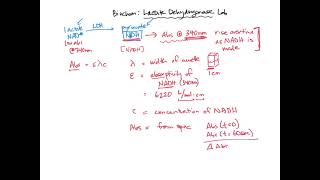 Calculating LDH activity  BIOL307 [upl. by Lyrehs]