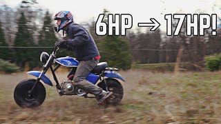 Fast Mini Bike Gets Gets 3X Horsepower 225cc Race Engine Swap [upl. by Barbabas]