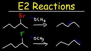 E2 Reaction Mechanism  Hoffman Elimination vs Zaitsevs Rule [upl. by Aynna]