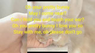 Rabbit SongBunny Bunny Bunny You are so Funny [upl. by Harriot]