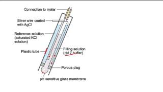 How a pH probe works [upl. by Kcirad199]