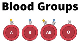 ABO Blood Group System AB0 Blood types amp compatibility explained [upl. by Aztinay739]