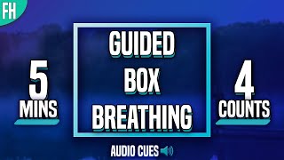 Guided Box Breathing  5 Minute Meditation 4444 [upl. by Arracat]