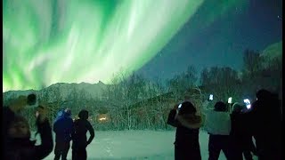 🇳🇴Chasing Lights in Tromsø Norway [upl. by Annaeed706]