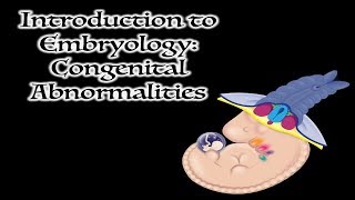 Congenital Abnormalities [upl. by Haleemaj]