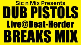 SnMP DUB PISTOLS Live  BeatHerder 2013 Breaks Mix [upl. by Norabel]