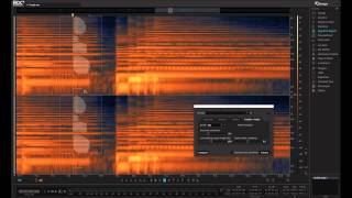 How to Remove Unwanted Sounds from a Take  iZotope RX [upl. by Borszcz]