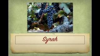 Winecast Syrah [upl. by Jocelyn]