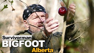 Survivorman Bigfoot  Episode 1  Alberta  Les Stroud  Todd Standing [upl. by Glyn]