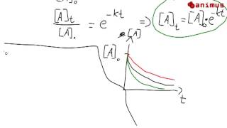 animus Tutorials Reaktion 1 Ordnung [upl. by Enileme]