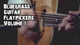 Professional Bluegrass Guitar Flatpickers Compilation 1 [upl. by Brigham]