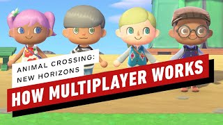 How Multiplayer Works in Animal Crossing New Horizons [upl. by Nomaid219]