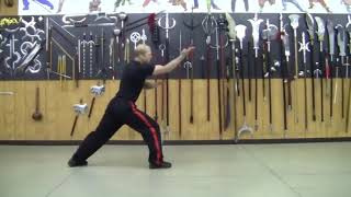 Pa Kua Bagua Baguazhang Linear Style [upl. by Candie]