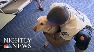 Meet The Woman Reuniting Vets With Their Retired Service Dogs  NBC Nightly News [upl. by Nosnhoj]