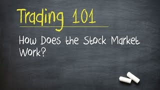 Trading 101 How Does the Stock Market Work [upl. by Cammy199]