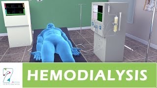 Hemodialysis [upl. by Zoie]