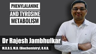 4 Phenylalanine and tyrosine metabolism [upl. by Ahsenac]