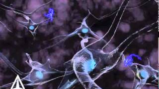 How Neurotransmission amp brain signals work  3D animation [upl. by Eirrotal886]