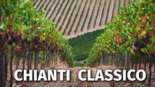 Great Italian Wines CHIANTI CLASSICO [upl. by Zzabahs]