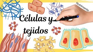 CÉLULAS y TEJIDOS [upl. by Eentruok939]