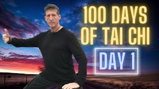 Learn Tai Chi at Home in 100 Days [upl. by Eyoj237]