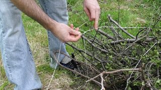 How to bundle branches with string [upl. by Uria583]