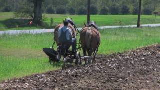 FARMER PLOWING WITH HORSES [upl. by Neliac]