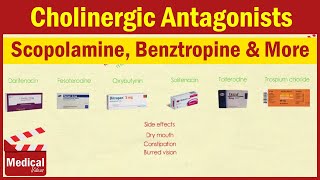 Pharmacology ANS 8 Cholinergic Antagonists Part 1 Atropine  Scopolamine  Benztropine etc [upl. by Artenehs]