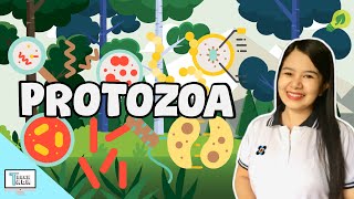 Protozoa  Protists  Biology [upl. by Colpin]