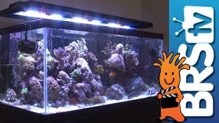 LED Lighting For Aquariums  EP 3 Aquarium Lighting [upl. by Notrub647]