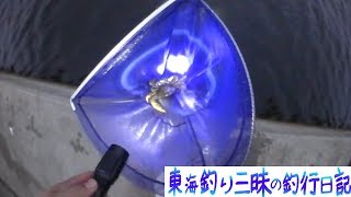 ワタリガニ（ガザミ、イシガニ）の獲り方！締め方！蒸し方！食べ方！！ [upl. by Adlesirhc]