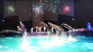 Dolfinarium Harderwijk  show Aqua Bella in 4K Ultra HD [upl. by Haem181]