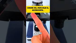 ¡NO PUEDO CREERLO 😱 Así se ve la sangre bajo el microscopio 🩸🔬🤯 curiosidades [upl. by Denie238]