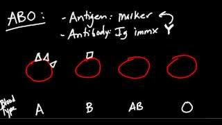 Blood Type ABO and Rh Made Simple [upl. by Ehtiaf]