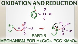 Alcohol Oxidation Mechanism with H2CrO4 PCC and KMnO4 [upl. by Yared]