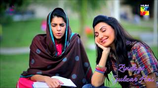 Zindagi Gulzar Hai Title Song OST  Ali Zafar  Hum TV Drama [upl. by Gwenora]