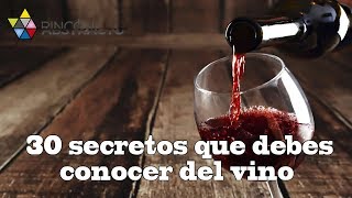 30 secretos que debes conocer del vino [upl. by Hilton]