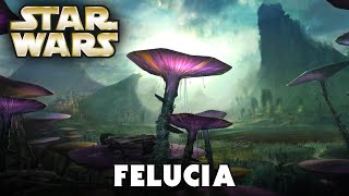 Planet FELUCIA Canon  Star Wars Explained [upl. by Rengaw]