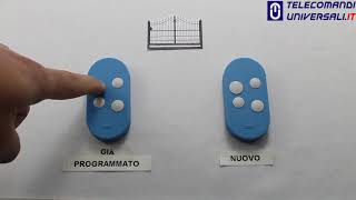 Come programmare il telecomando  CAME TOP 4DR [upl. by Aisac5]