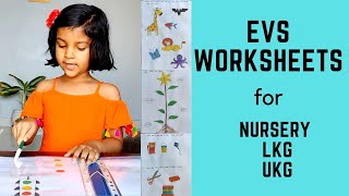 Daily Practice EVS Worksheets for Toddler Nursery LKG UKG Kindergarten Preschool  6 [upl. by Haveman]