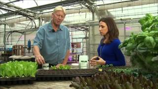 The Big Idea Hydroponic and Vertical Farming [upl. by Laubin231]