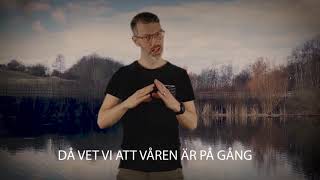 VÅREN ÄR PÅ GÅNG [upl. by Adnael]