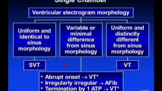 ICD11 workshop part 1 Introduction to ICD11 coding [upl. by Taam106]