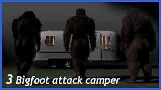 Multiple Bigfoot Encounter While Camping up State New York [upl. by Eneloj]