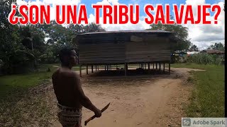 ¿CÓMO VIVE UNA TRIBU BORA EN LA SELVA PERUANA  DILO NOMÁS [upl. by Terryn]