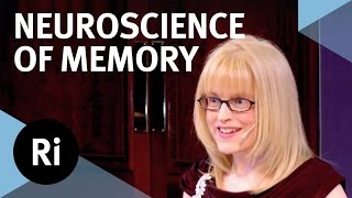 The Neuroscience of Memory  Eleanor Maguire [upl. by Leduar]