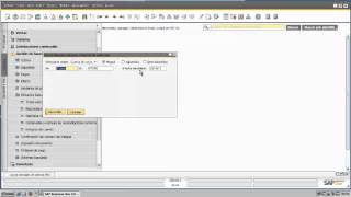 Extracto bancario y reconciliaciones en SAP Business One [upl. by Adiel]